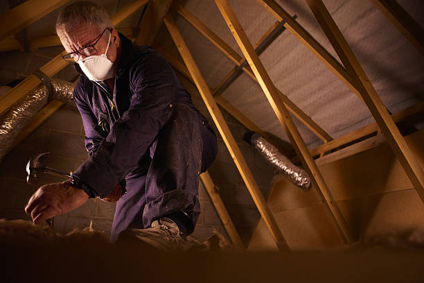 Types of Insulation We Offer in Fairlea, WV